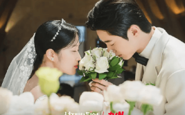 雪亮军刀小说完整版《背着善宰跑》韩剧超清1080P中文字幕无删减百度云网盘完整版资源