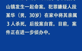 男子杀害3名亲属后自首,男子杀害3名亲属后自首，家庭悲剧引发社会关注