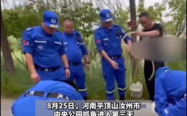 公园回应为抓怪鱼抽干湖水,回应质疑，保护生态安全