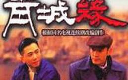 连续剧大全免费,连续剧大全免费观看攻略