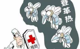 登革热疫情,全球登革热疫情现状与防控策略解析